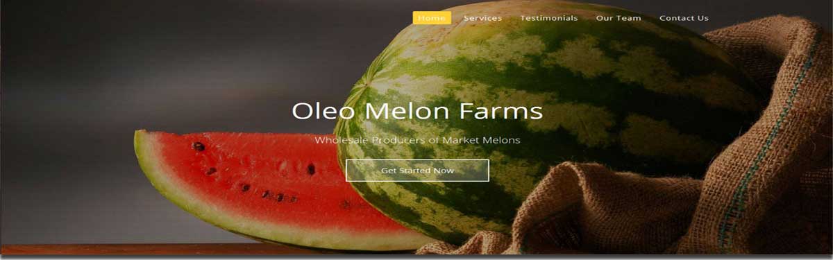 melon site